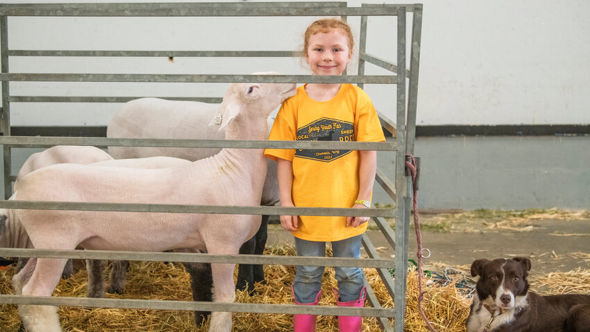 FILE PHOTO &mdash;&nbsp;Laney Larson, of Tenino, stands in a pen next to a sheep named Mikey during the Spring Youth Fair at the Southwest Washington Fairgrounds in 2023.