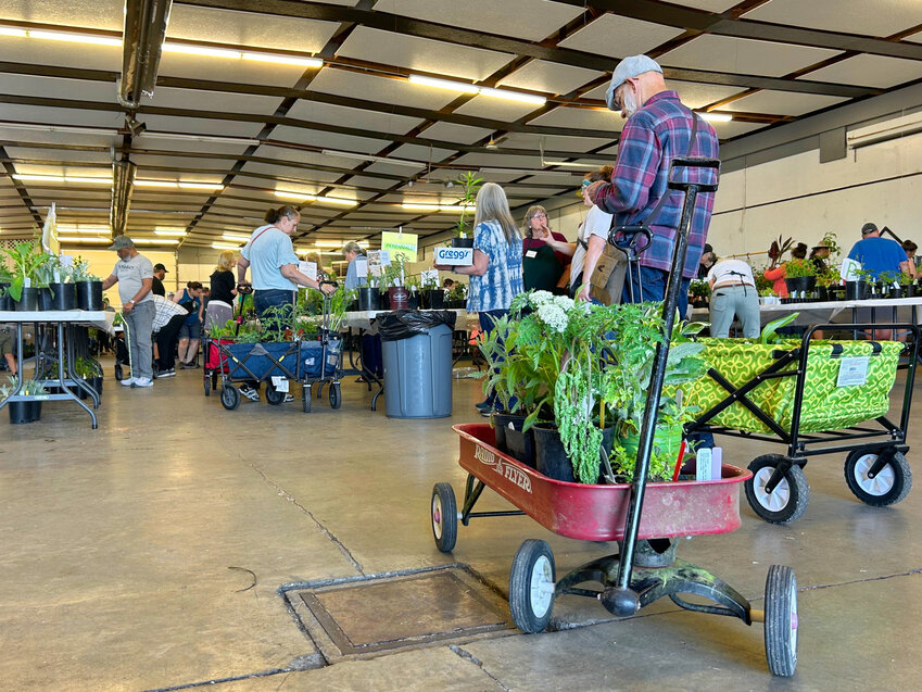 The Washington State University Extension Lewis County Master Gardeners' 2023 Spring Plant Sale took place at the Blue Pavilion of the Southwest Washington Fairgrounds on Saturday, May 13 and Sunday, May 14, 2023.