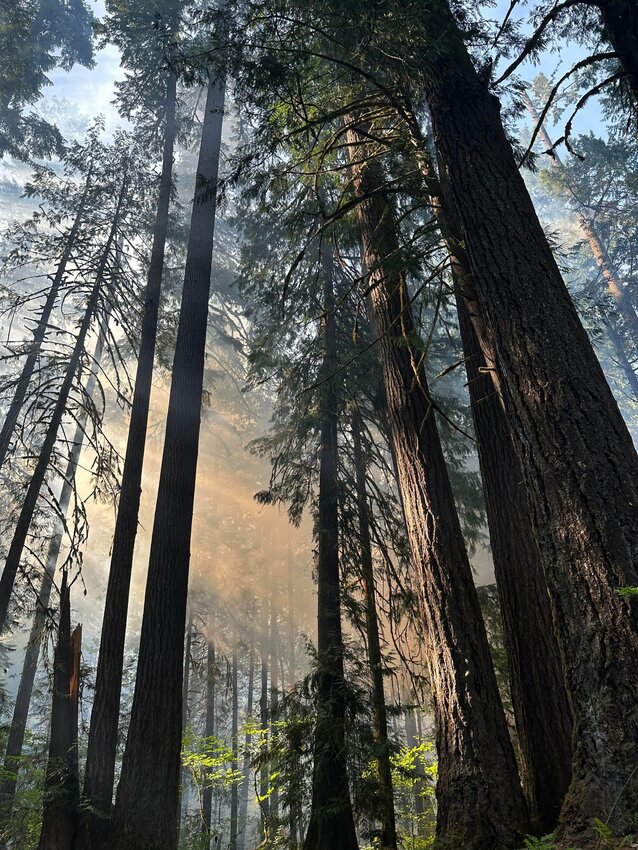 Ashley Baker captured these photos of the Iron Creek Fire in the Randle area on Saturday, June 3. The fire began in the Iron Creek Campground on Forest Road 25 in Randle Saturday. It reached 8 acres in size on Monday and, according to the Gifford Pinchot National Forest, has &ldquo;likely grown&rdquo; since then.