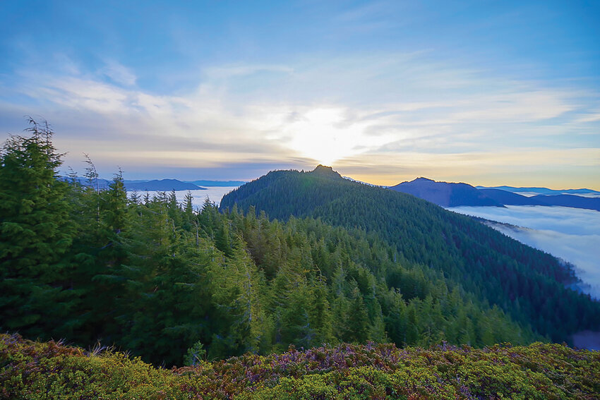 Matt Coffey, with RamblingRaven.com, captured the sunrise on the summer solstice as it transited Mount Mitchell in the Gifford Pinchot National Forest.