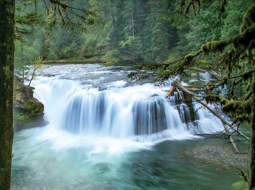Lower Lewis River Falls is located in the Gifford Pinchot National Forest