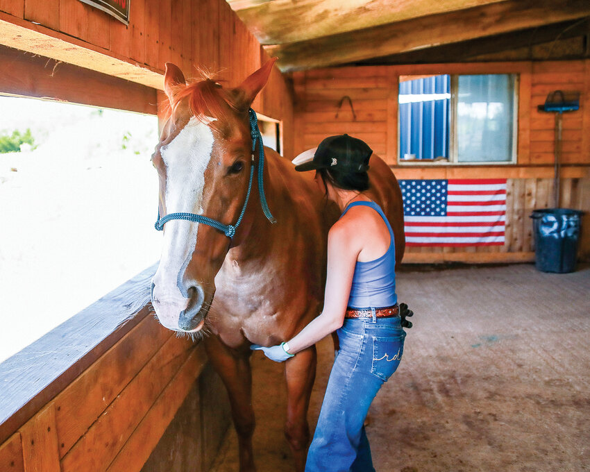 Mckenzie Brown, of Royal Vision Equine, provides performance therapy to her horse named Royal on Thursday, June 29.