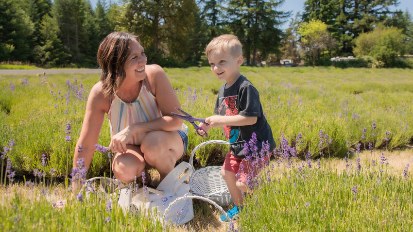Atlas Houser, 3, smiles while helping his Aunt Heather Orwig, of Puyallup, cut lavender during the Lavender Celebration at Cowlitz Falls Lavender Company&rsquo;s farm on Saturday, July 8.