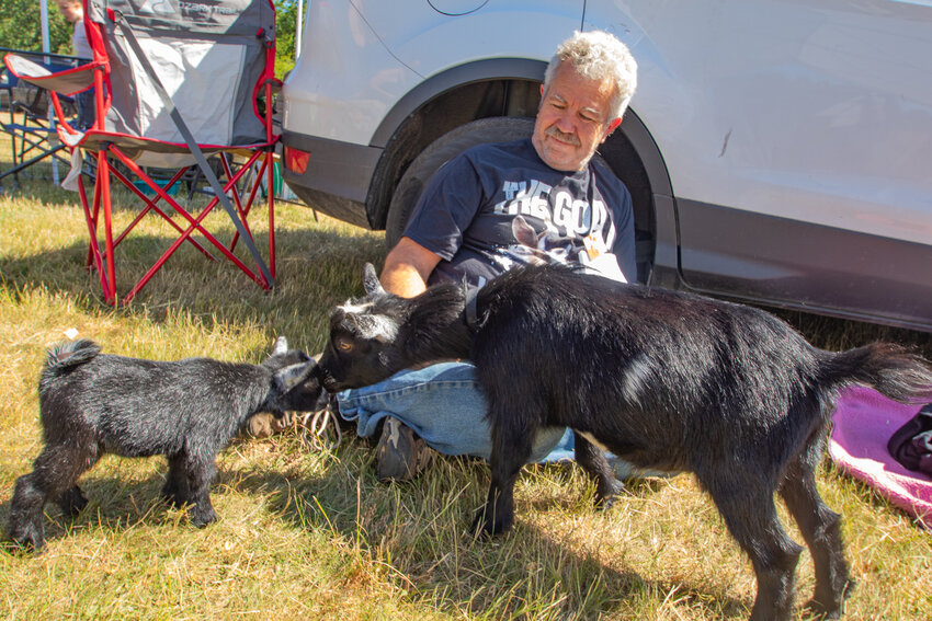 A goat named Thain sniffs Star, a week-and-a-half old pygmy goat while Rowdy Mars of Napavine looks on at Saturday's &quot;Firecracker Frolic&quot; Pygmy Goat Show in Winlock.