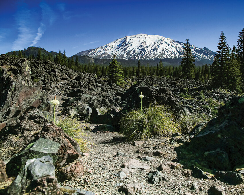 Only about an hour from The Reflector&rsquo;s office, the south-facing side of Mount St. Helens is   pictured from the Butte Camp Trailhead on a sunny afternoon.