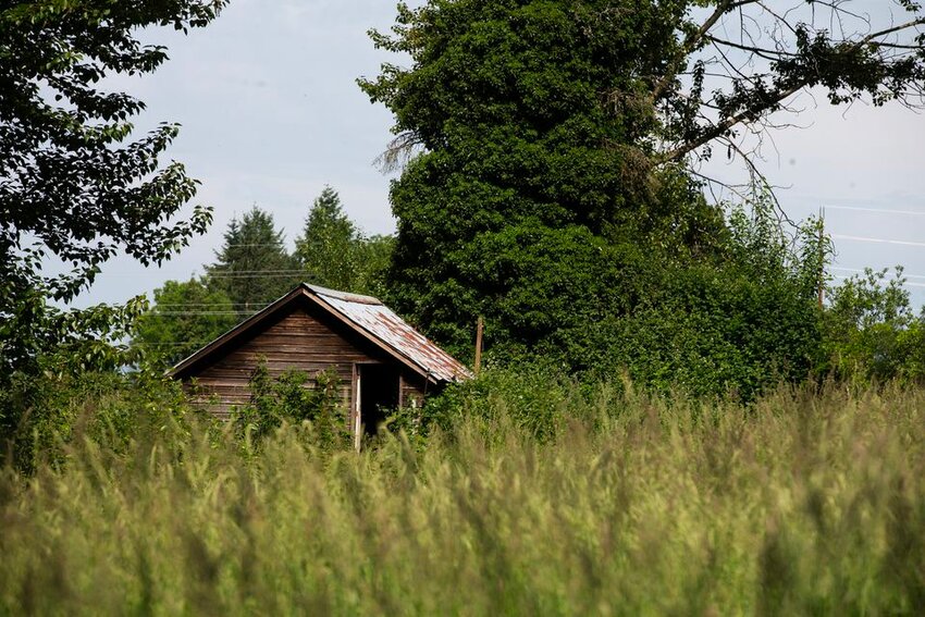 An abandoned property near Ridgefiled, WA, where the body of JoAnna Speaks, 32, was found in April, on Wed., June 7, 2023.