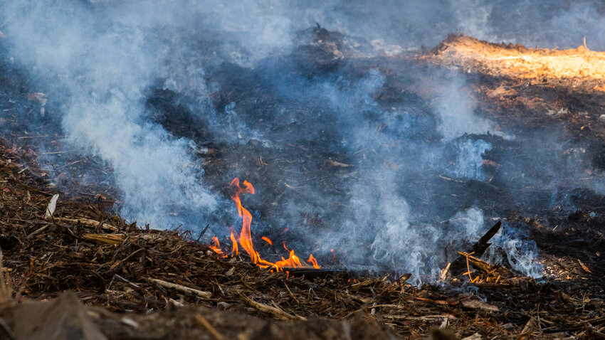 Flames scorch dry tinder off state Route 6 near Claquato on Tuesday, July 18.