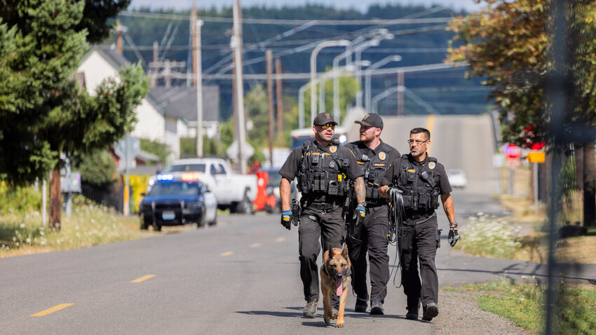 Centralia police officers and K9 units search an area near West 6th Street after a Flock camera located a stolen vehicle prior to the vehicle crashing.