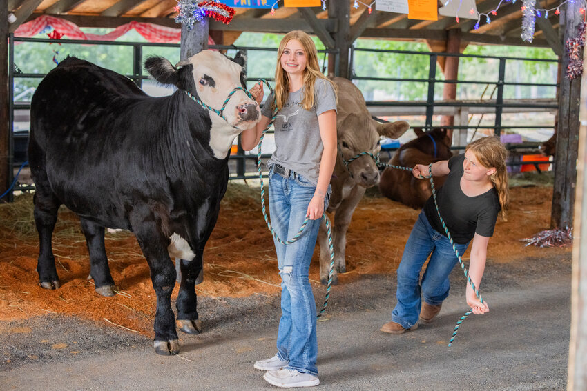 Rayanna Wisner, a freshman at Rainier High School, poses for a photo with Winston, a Black Angus-Hereford cross, as Rylie Mustoe, of Tenino, pulls Philip, a Charolais-Black Angus cross, into the frame at the Thurston County Fairgrounds on opening day Wednesday, July 26.