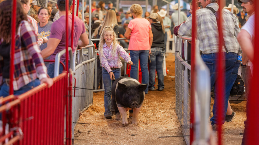 Hog handlers smile while showing off their swine during the Junior Livestock Market at the Southwest Washington Fairgrounds on Friday, Aug. 18.