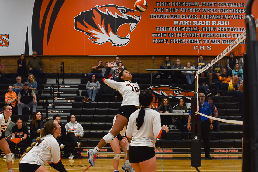 Makayla Chavez leaps to spike the ball over the net during the Tigers' match against Aberdeen on Oct. 3.