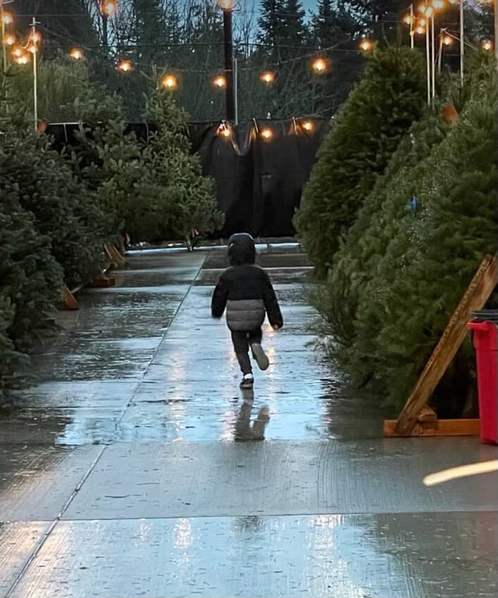 An excited young Christmas tree shopper checks out trees at a previous Ridgefield Lions Christmas tree sales event.