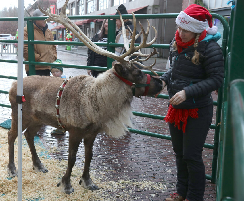 Sophia McKee of Rainier Reindeer Ranch feeds a treat to Bunny the reindeer outside the Lewis and Clark Hotel in Centralia during the Christmas on Magnolia Street market on Saturday, Dec. 2. The event, held Friday and Saturday, was organized and hosted by the Centralia Downtown Festivals Association.