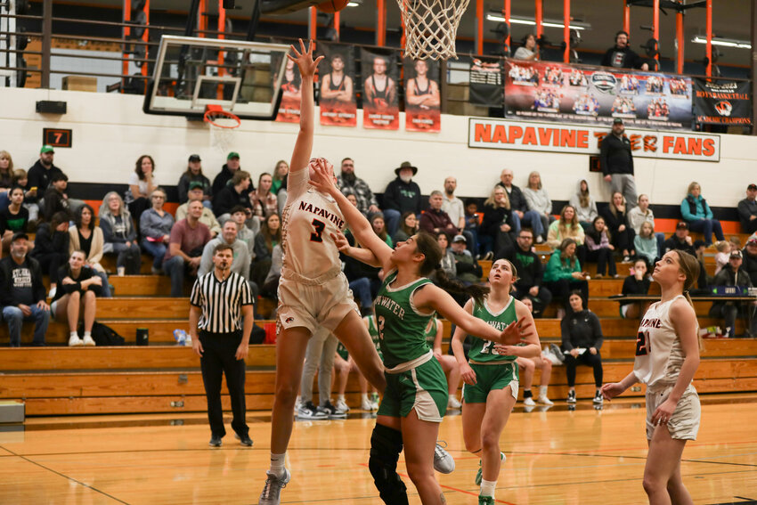 Hayden Kaut hits a layup over a defender during Napavine's win over Tumwater on Dec. 30.