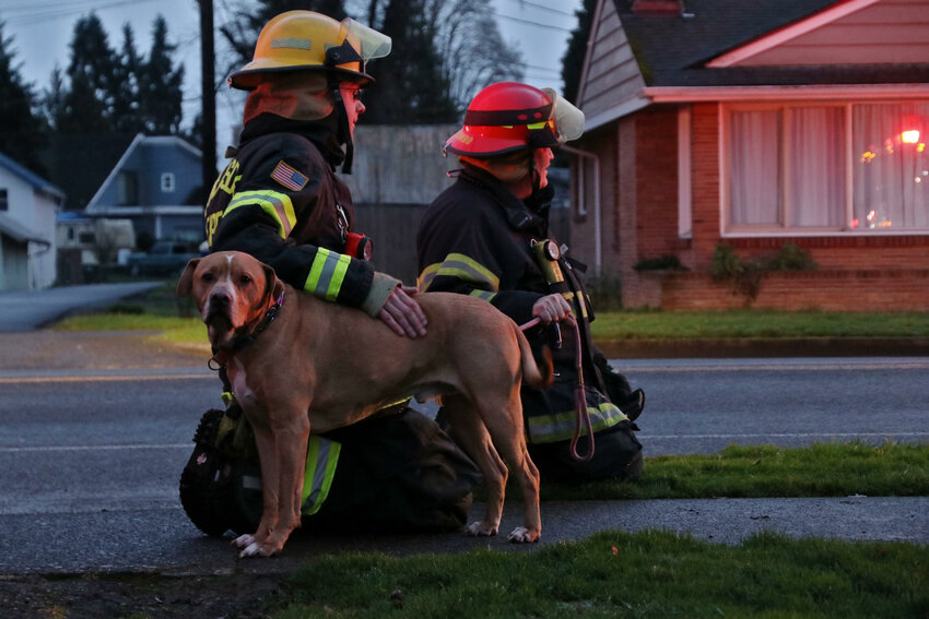 Firefighters with the Riverside Fire Authority comfort a dog that escaped a house fire on West First Street in Centralia on Thursday, Jan. 4.