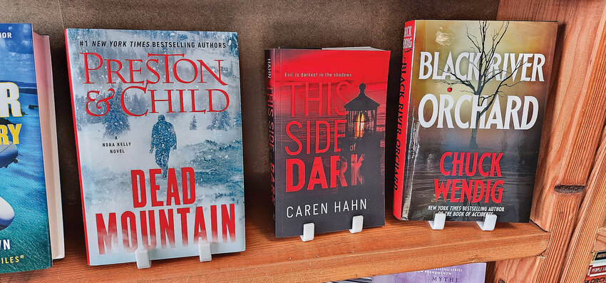 Author Caren Hahn will present &ldquo;This Side of Dark&rdquo; at an upcoming Literary Leftover author panel on Feb. 2.