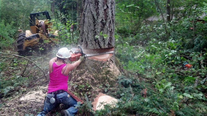 Beth Stock goes to work on a tree with a chainsaw in this courtesy photo.