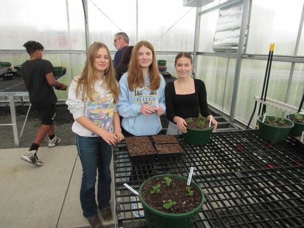 Napavine students work inside the district&rsquo;s greenhouse in this photo from Chronicle columnist Maureen Harkcom.