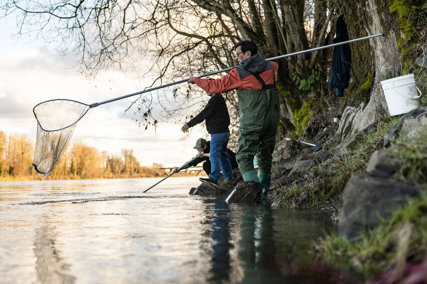 David Lee, from Portland, catches a smelt on the Cowlitz River near Longview on Tuesday, March 5.