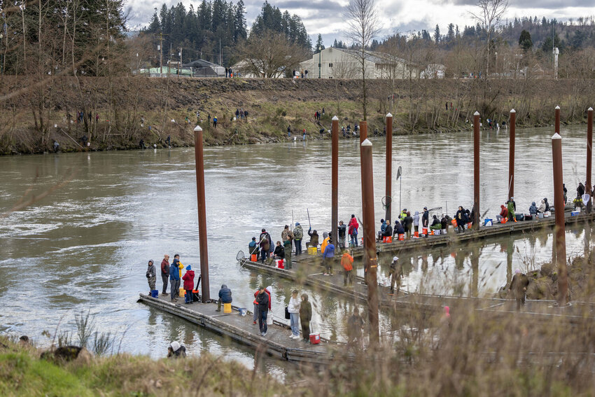 Anglers from around the state gather on a dock in the designated area on the Cowlitz River in Castle Rock on Tuesday, March 5.