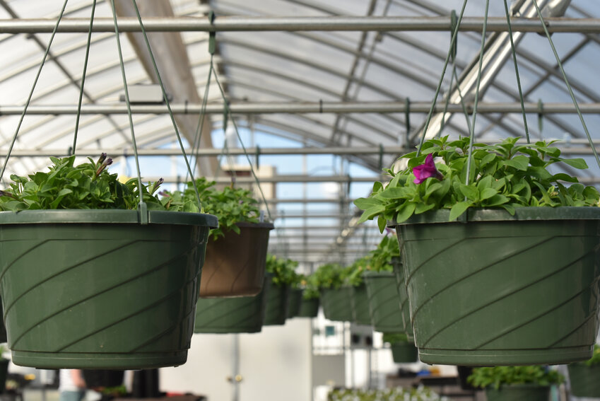 Yelm High School's FFA plant sale is set for Thursday, April 25, and Friday, April 26.