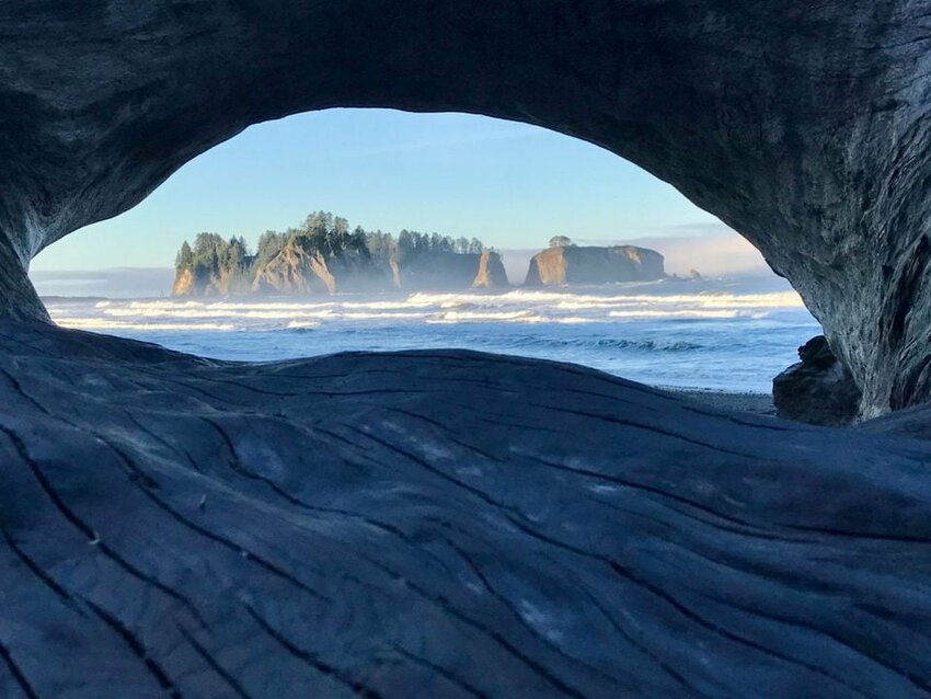 Islands off the Washington coast are seen through a driftwood log at Rialto Beach in Olympic National Park.