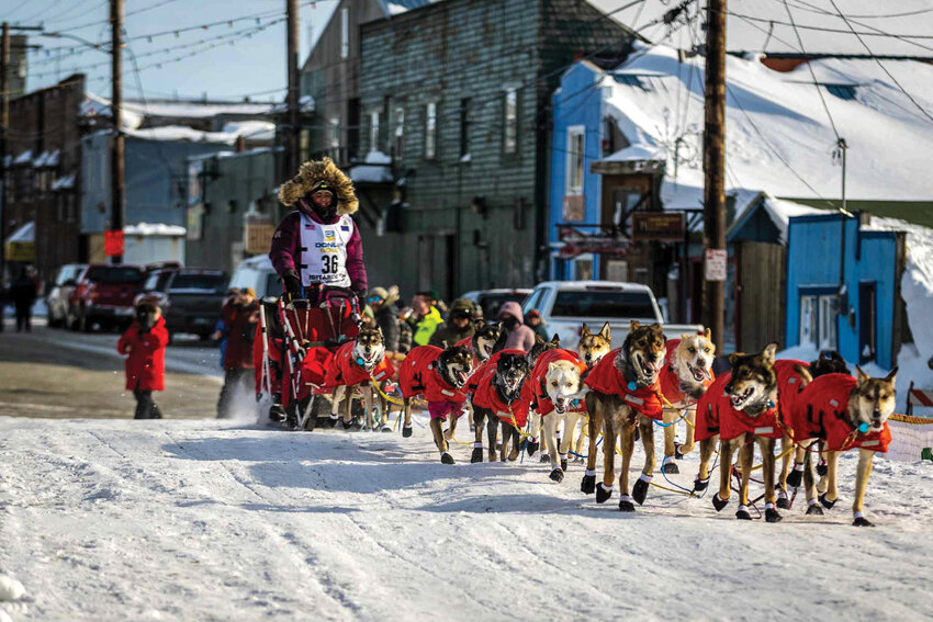 Battle Ground native Lara Kittelson competed in the Iditarod, a long-distance dog race covering over 1,000 miles of the Alaskan wilderness. Kittelson said arriving in Nome filled her with emotion.