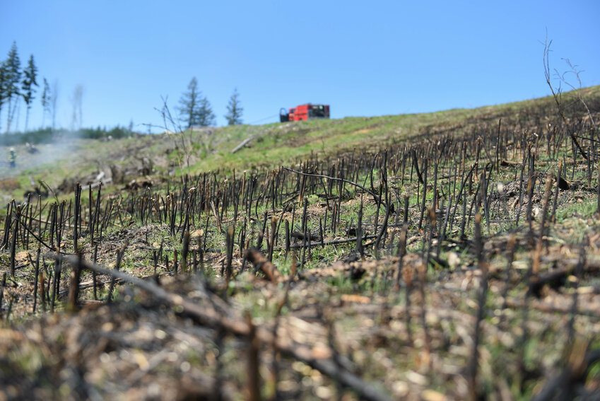 A patch of brush is burnt to the ground as the Washington State Department of Natural Resources and Lewis County Fire District 5 respond to a wildfire off of Nando Ln in Napavine on Wednesday, April 17.