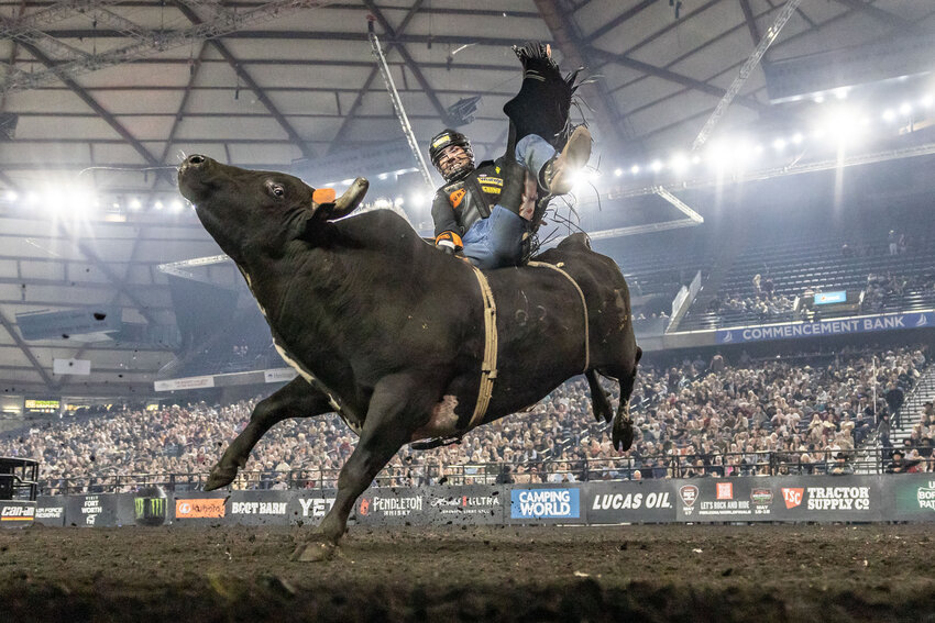 Professional bull rider Eli Vastbinder hangs on during the PBR competition at the Tacoma Dome on Sunday, April 21. The PBR competition came to the Tacoma Dome for two days for the third consecutive year.