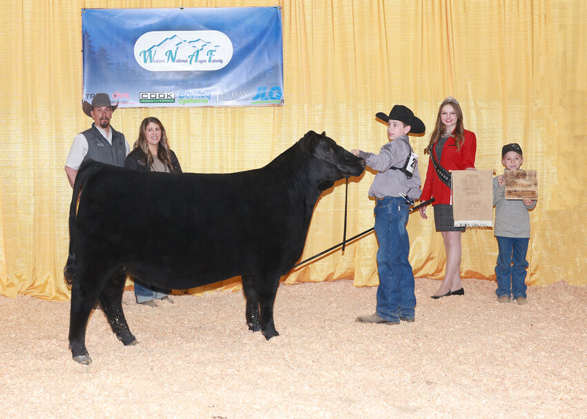Brody Smeall, of Chehalis, exhibited the champion calf in the Junior Heifer Calf Division 2 category April 12 at the 2024 Western Regional Junior Angus Show in Reno, Nevada. To submit photos, news tips or community news like this to The Chronicle, email images and details to news@chronline.com.