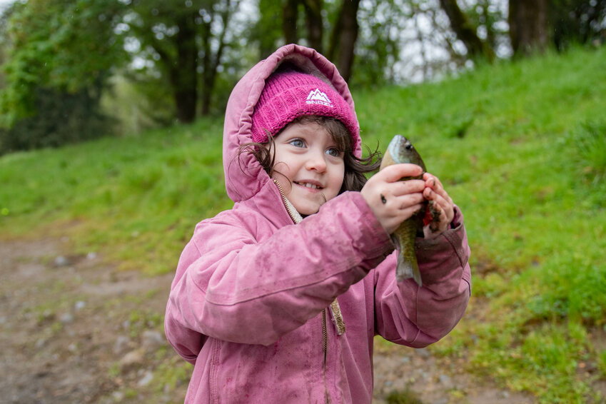 Raveka Childers holds her first fish of the day high for everyone to see before returning it to the water at the Centralia Lions Club Youth Fishing Derby at Fort Borst Park in Centralia on Saturday, April 27. The annual fishing derby lasted from about 8 a.m. until noon. Children ages 3 to 15 signed up for prize drawings. Volunteers provided participants with free hot dogs and milk. The annual derby coincided with the lowland lakes season opener in Washington. The Washington Department of Fish and Wildlife stocks millions of trout in lakes throughout the year, and opening day marks the first time people can fish many of those lakes for the catchable trout planted every winter and spring. Opening day lakes are often stocked shortly before the start of their six-month season. Anglers can visit https://wdfw.wa.gov/fishing/reports/stocking/trout-plants to see which lakes have been stocked in recent weeks and can sort by county or waterbody to find a nearby stocked lake.