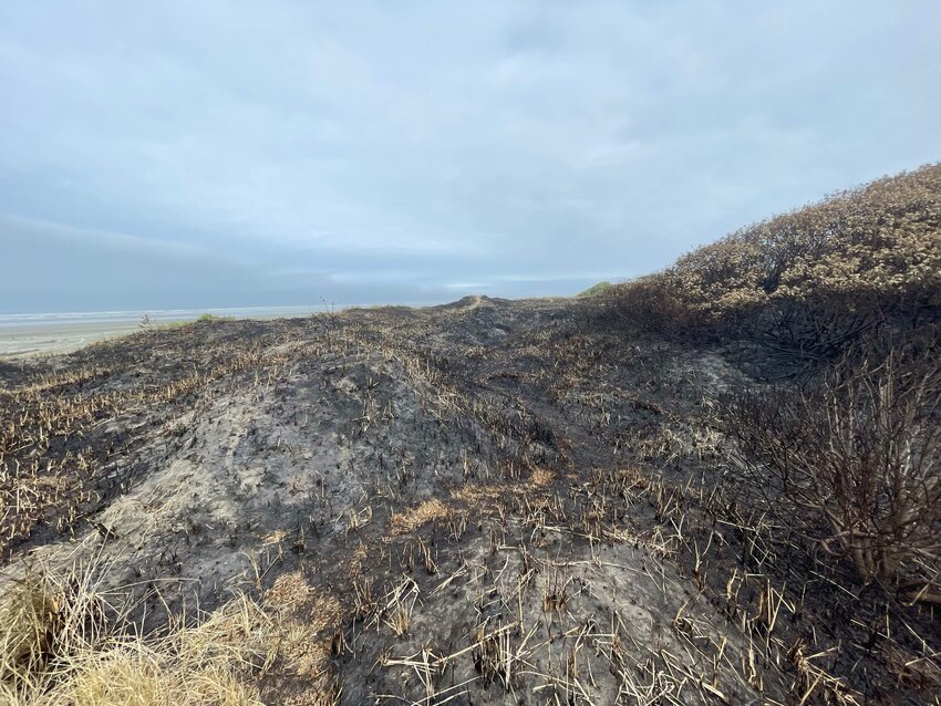 A grass fire swept through Pacific Beach State Park on Saturday afternoon, destroying two acres of vegetation