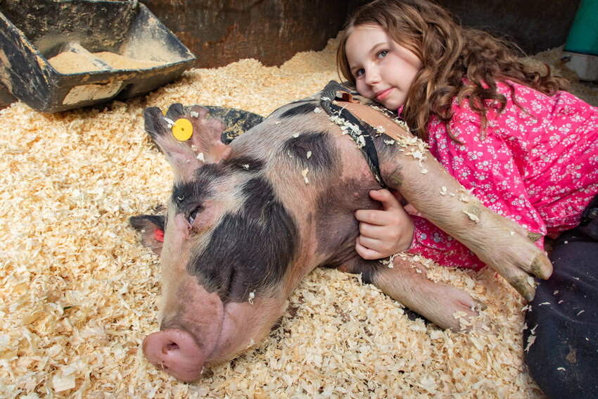Lucky the Pig smiles on Thursday, May 23, at the Crooked Creek Swine Farm in Castle Rock while being cuddled by Zandaea Cole of Kelso, who originally got Lucky as a market pig to sell at the Cowlitz County Fair.
