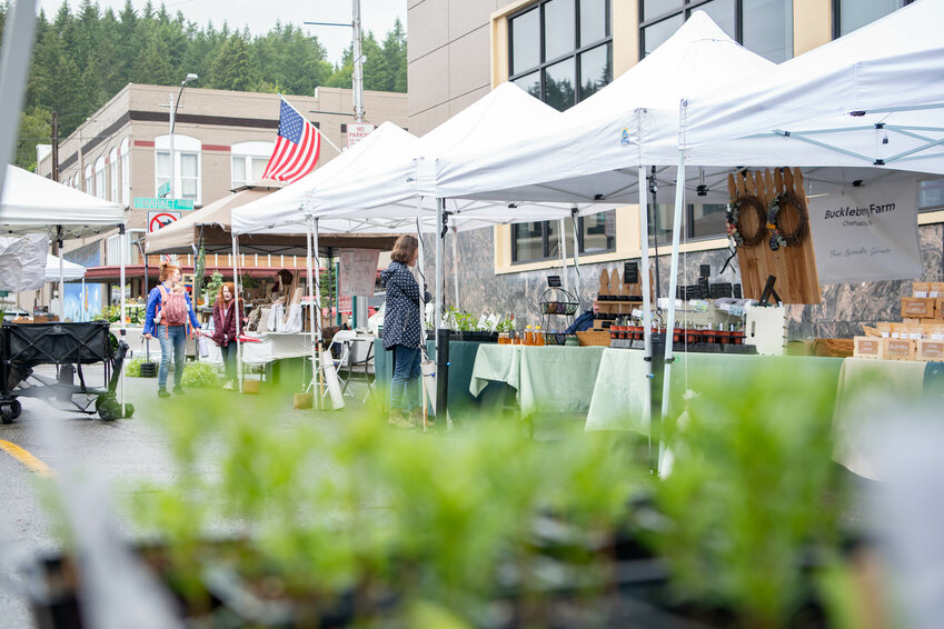 Vendors set up shop at the Community Farmers Market of Chehalis on North West Boistfort Street in downtown Chehalis on Tuesday, June 4.