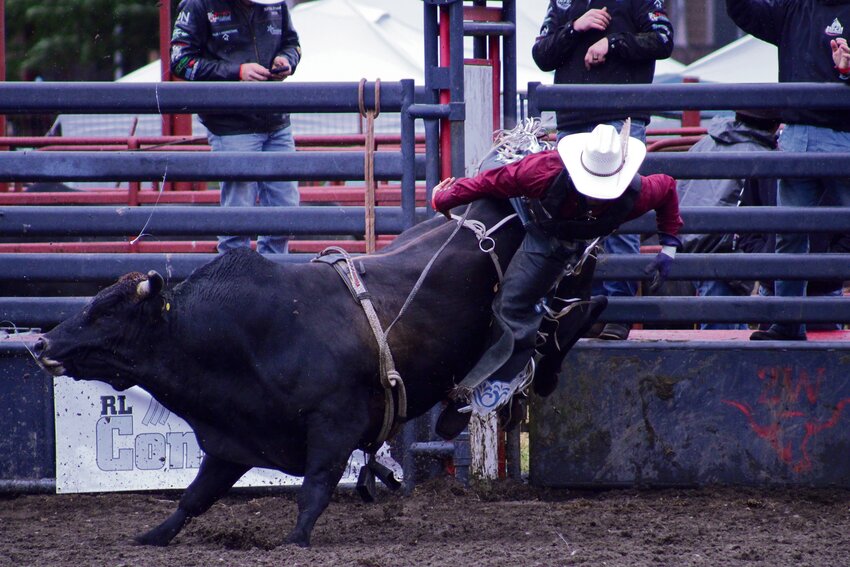 Walter Authement Jr. gets bucked off a bull during the Roy Rodeo on June 2.