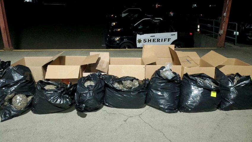 A search warrant uncovered 150 pounds of marijuana after a Friday night traffic stop on I-5, according to the Thurston County Sheriff&rsquo;s Office.