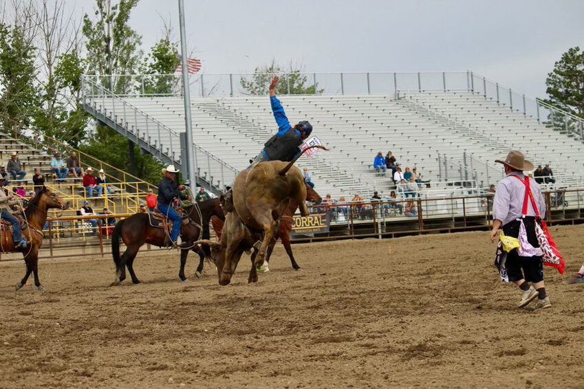 Yelm High School graduate Auto O'Neal rides a bull during a rodeo competition.