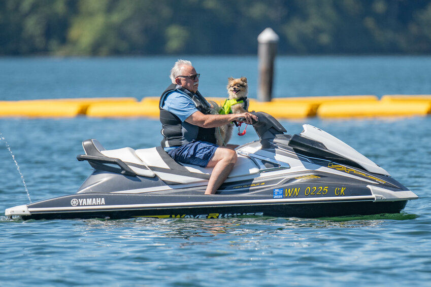 A man and his dog ride a jet ski during a hot day at Mayfield Lake in Mossyrock on Tuesday, July 9.
