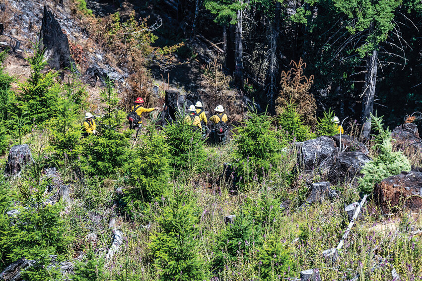Four contract crews were utilized to help knock down the 38-acre Donkey Fire near Pe Ell, a resource the Washington State Department of Natural Resources can utilize for wildfires in Clark or Cowlitz counties.