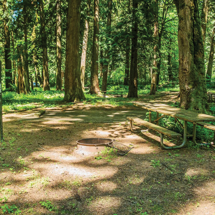 A campground at Paradise Point State Park, which is situated near Interstate 5 between La Center and Woodland.